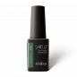 Preview: Kinetics Professional Shield LED/UV Gellack 15ml"Age of Sage"'588