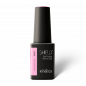 Preview: Kinetics Professional Shield LED/UV Gellack 15ml HEMA FREE"Euphoria"#605